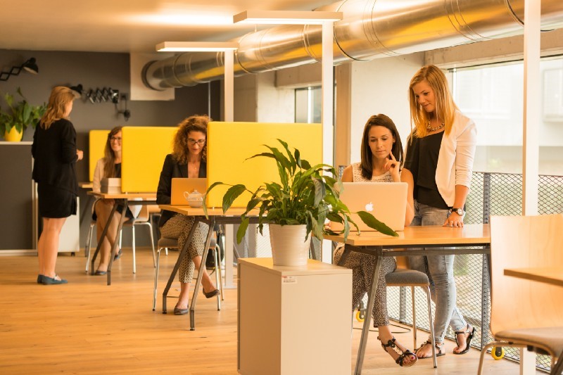 Espacio de coworking en el Hotel Schani